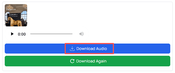 fastvideosave download audio