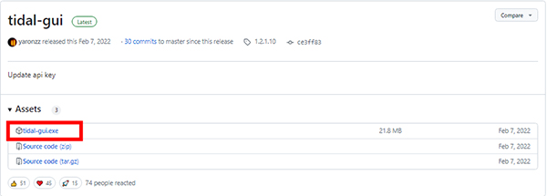 install tidal gui