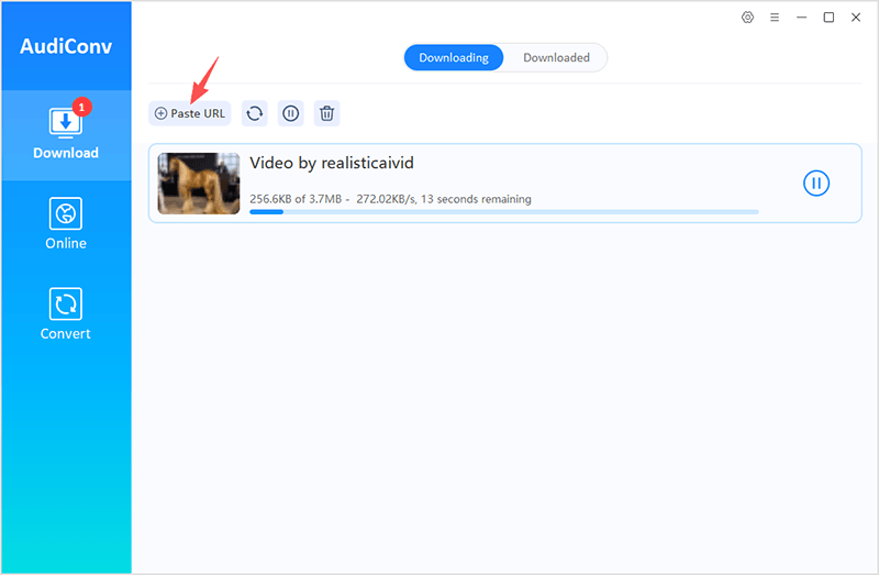 paste instagram video url