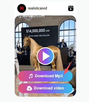 reelsvideo download mp3