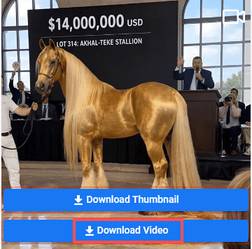 saveclip download audio
