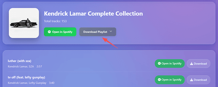 spotisaver download playlist