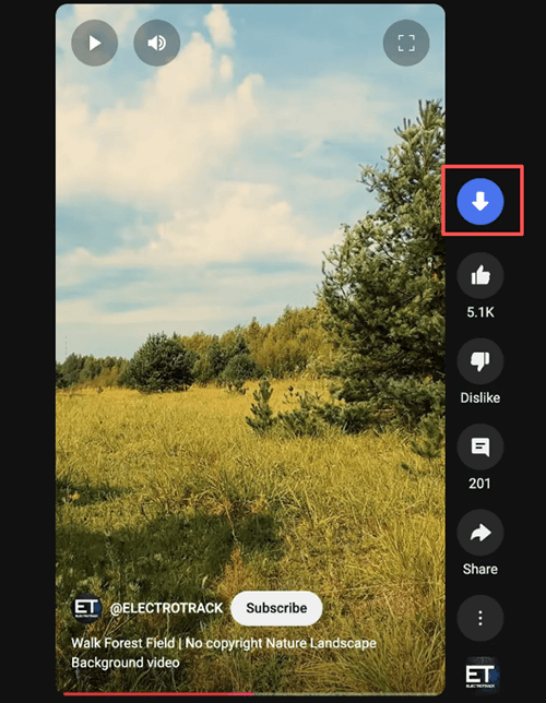 tublydownloader youtube shorts download
